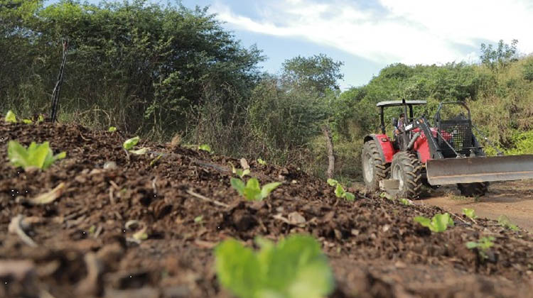 Agricultores de Juazeiro do Norte já podem retirar boletos do Programa Garantia Safra