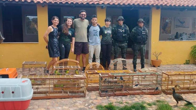 Natureza no Cariri recebe de volta 65 aves silvestres e três cobras