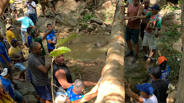 Corte do Pau da Bandeira de Santo Antônio será na sexta-feira, 17