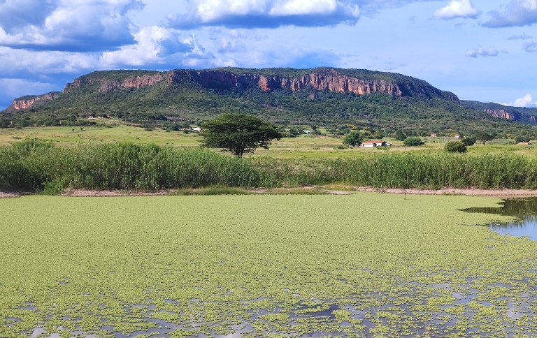 Operação do ICMBio embarga mais de 2 mil hectares por desmatamento ilegal na Chapada do Araripe
