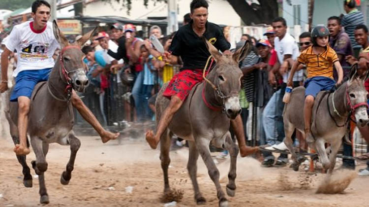 Protetores de animais fazem manifestação contra corrida de jumentos em Juazeiro do Norte