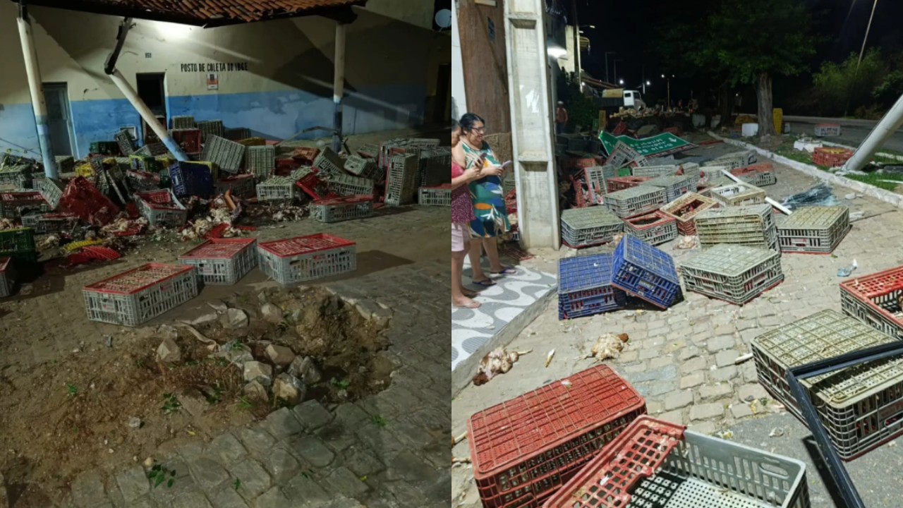 Acidente com caminhão deixa galinhas espalhadas na BR-116, em Jati