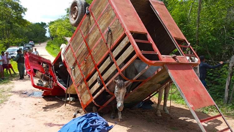 Homem transportava cavalos e morreu em Milagres no capotamento do carro e outro em Penaforte bateu moto numa carreta