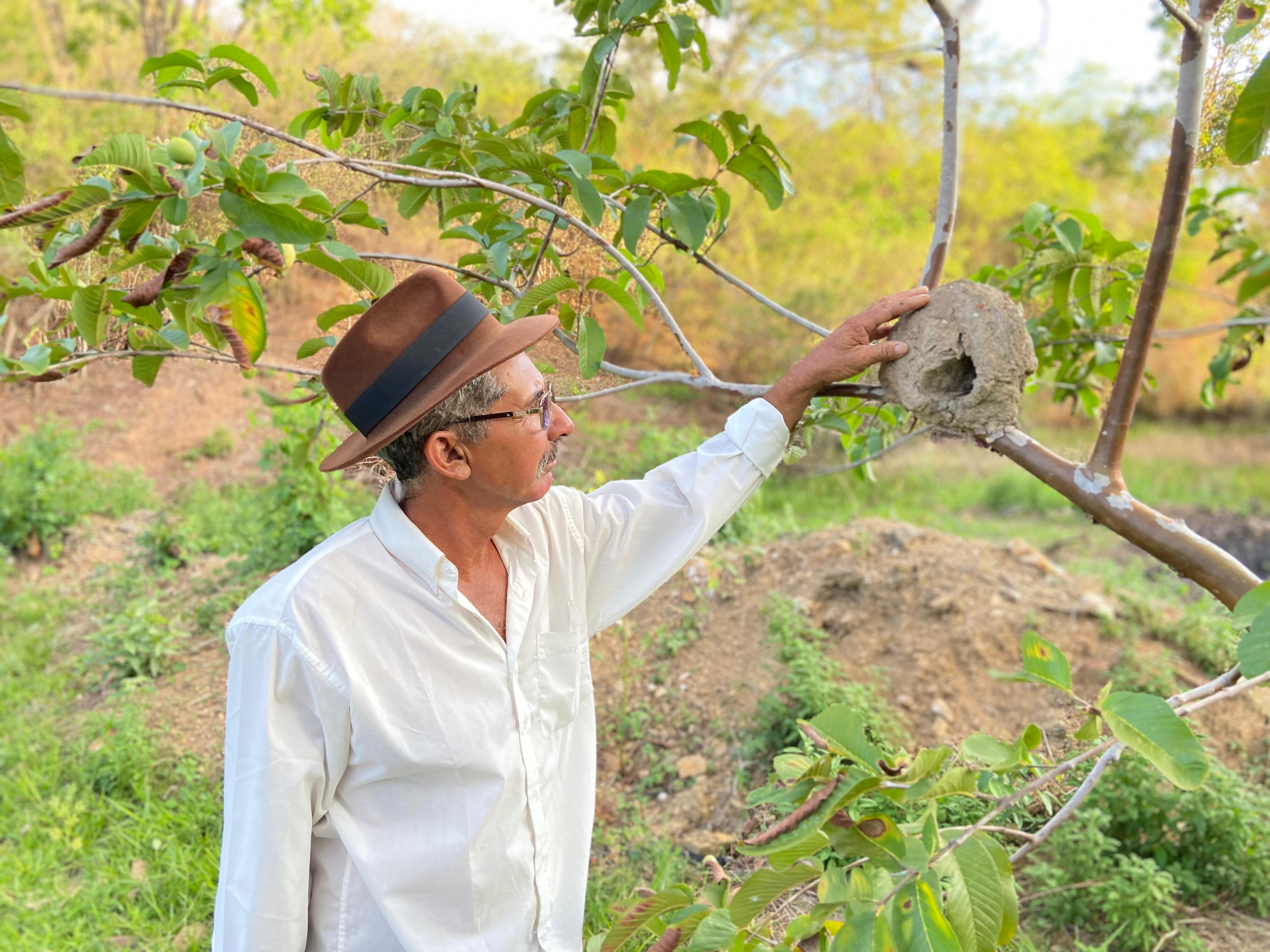 Profeta da chuva prevê bom inverno em 2026