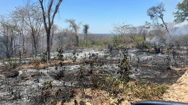 Incêndio atinge Chapada do Araripe, e moradores agem para conter chamas