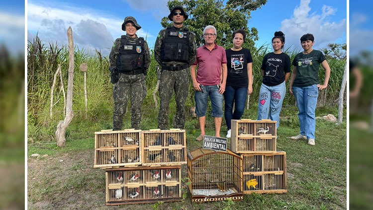 Aves ganham liberdade no Cariri e retornam ao seio da natureza