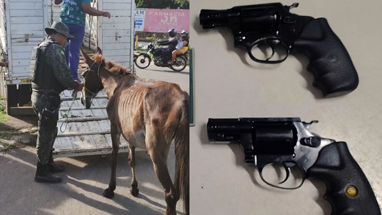 BPMA prende carroceiro por maltratar animal em Juazeiro e trio em Barbalha com dois revólveres