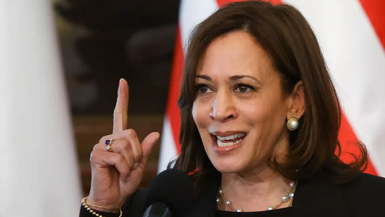 Kamala pede união ao Partido Democrata para derrotar Donald Trump