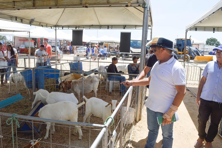 Salitre: segunda edição da ExpoAgro 2023 promove negócios e impulsiona geração de empregos