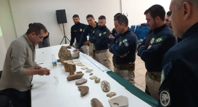 PRF apreende fósseis, aves silvestres e aplica R$ 100 mil em multas no Cariri