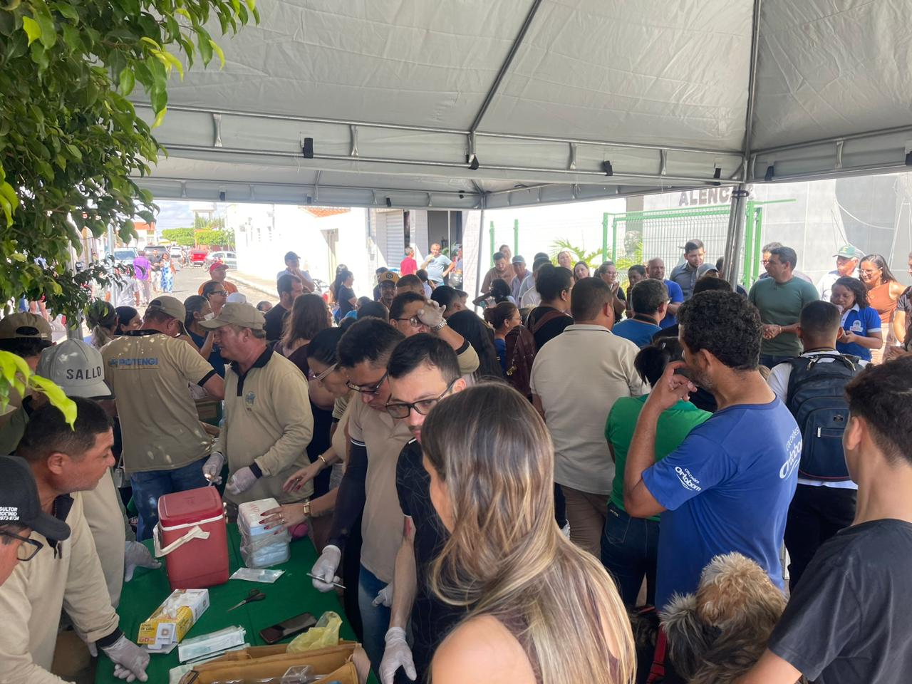 Potengi anuncia castração de 200 animais a partir de janeiro de 2026