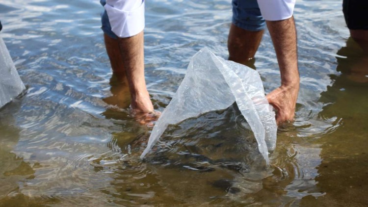 Peixamento é realizado em três açudes do Cariri