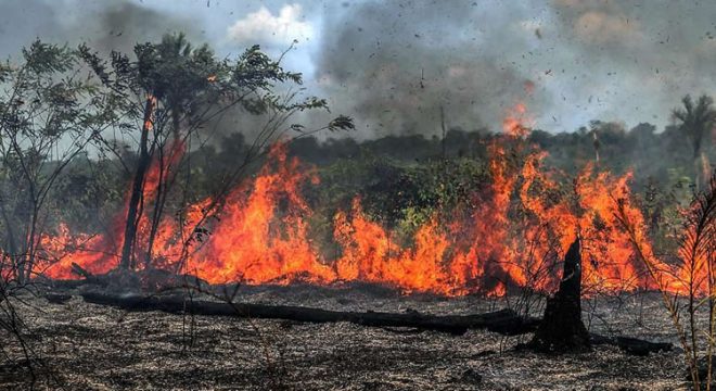 Cariri registra mais de 2 mil focos de queimadas em setembro