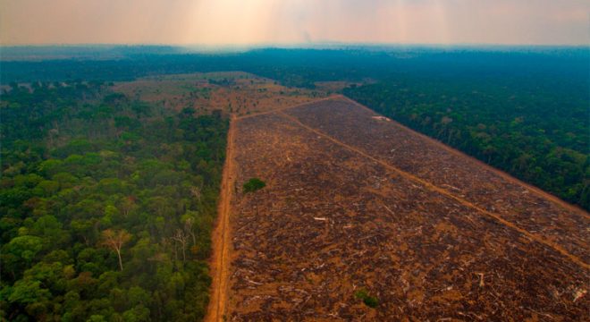 Desmatamento da Amazônia pode causar prejuízo anual de US$ 317 bilhões ao Brasil, afirma Banco Mundial